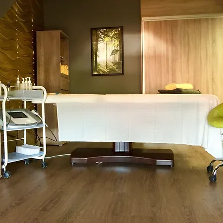 Davinci 4* Марианске-Лазне