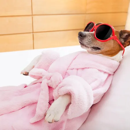 Davinci Отель Марианске-Лазне